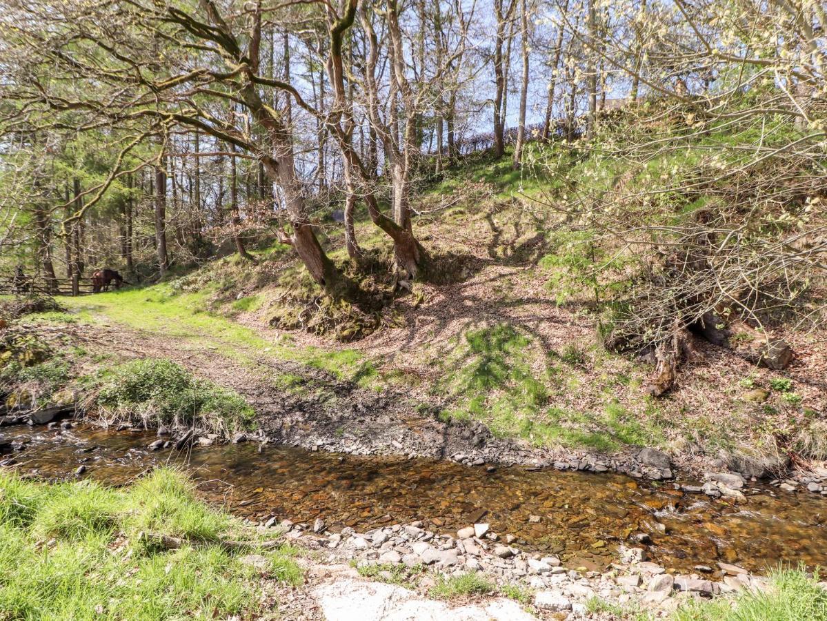 Nant Y Celyn Villa รูธิน ภายนอก รูปภาพ